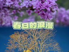 -北京明城墙遗址公园