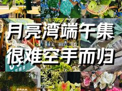 -瑞虹新天地月亮湾
