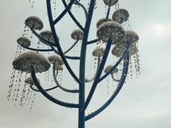 -白石龙音乐公园