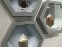 -房山世界地质公园博物馆