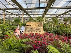 -南宫五洲植物乐园