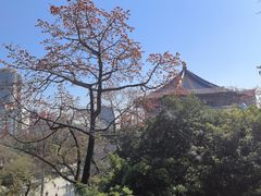 -广州中山纪念堂