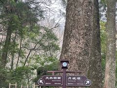 -青城山