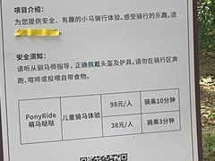 -金鸡湖桃花岛