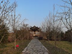 -广富林郊野公园