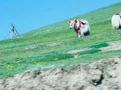 -日月山景区