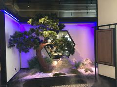 -绿茶餐厅(成都大悦城店)