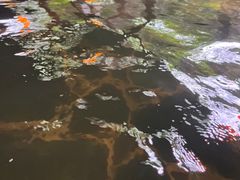 -西安国际创新人才交流中心•药浴温泉