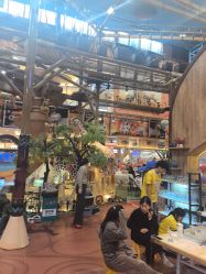 点击看大图 -卡通尼·Safari非洲探索乐园·生日会(金桥国际商业广场店)