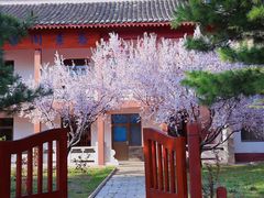 -龙口南山旅游景区