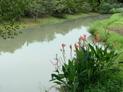 景点-乌村