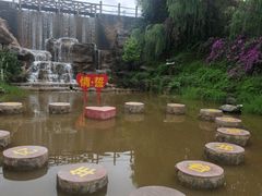 -世界恐龙谷景区