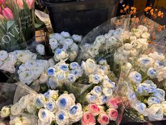 -循礼门鲜花花市(武汉循礼门店)