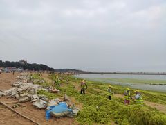 -青岛第二海水浴场