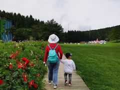 -武陵山森林公园