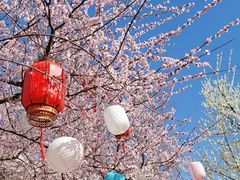 -春风习习