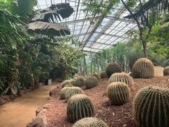 -呀路古热带植物园
