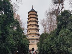 -灵谷景区