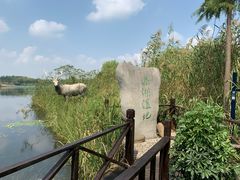 -溱湖国家湿地公园