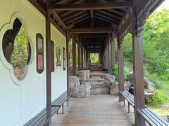 -黑龙江省森林植物园