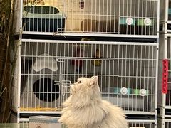 -小时光咖啡馆(北锣鼓巷店)