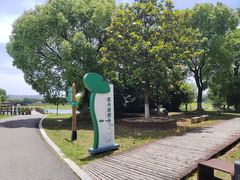 -荷塘月色湿地公园·向阳花洲