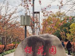-高东镇樱花园