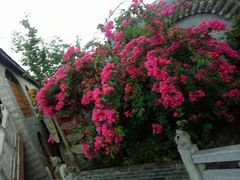 -楠柏弯休闲山庄(梨花溪店)
