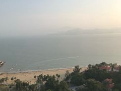 -猫咪博物馆(顶澳仔猫街店)