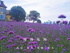 -花博汇(知音花月夜)