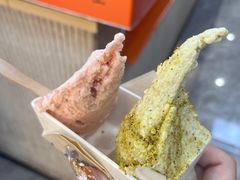 -野人先生现做冰淇淋(西安赛格店)