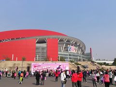 -南京奥林匹克体育中心-体育馆