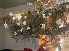 -月龍吟(朝龙汇店)