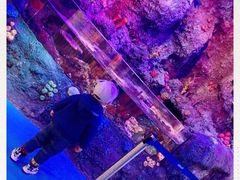 -沈阳海洋探索中心