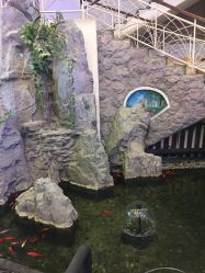 -五洲妇儿医院
