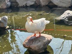 -龙华寺