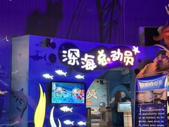 -烟台海昌鲸鲨海洋公园