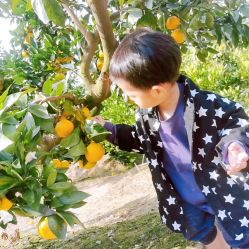 -前小桔亲子创意农场·草莓采摘·露营烧烤