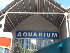 -悉尼海洋生物水族馆
