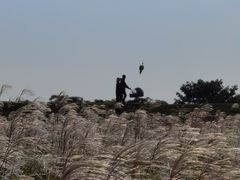 -盘龙城国家考古遗址公园