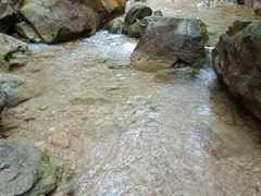 -南海湾森林生态园