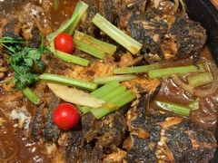 -老板恋上鱼(恒隆广场店)