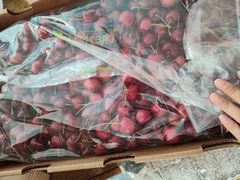 -沈阳市八家子水果批发市场