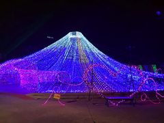 -巨鹏飞梦幻海岸