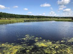 -塞罕坝国家级自然保护区