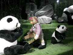 -成都泰迪熊博物馆