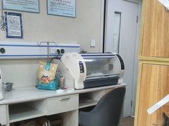 -A猫a狗全科·犬猫异宠·芥西宠物医院(南开总院)