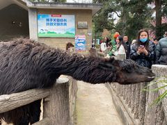 -昆明动物园