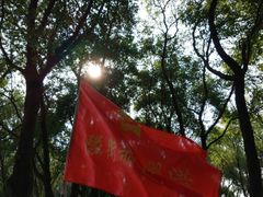 -洪湖生态旅游区