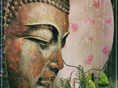 -忘忧草融合私房菜(红鼎国际店)